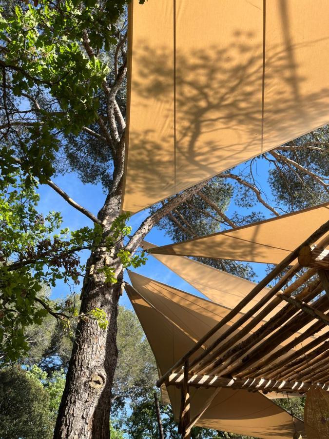 랑벡 La Bastide Des Grands Chenes B&B 외부 사진